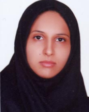 Zeinab Naji (Sept. 2013-Jan. 2016)