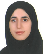Farzaneh Siavashi (Sept. 2016 - Jun. 2019)