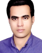 Seyed Hamed Hosseyni