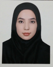 Elnaz Najafi