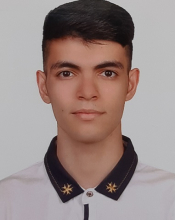 Mohammad Chatrabnous