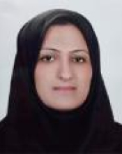 Seyedeh Narjes Hosseini
