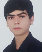 Mohammad Amin Jalili