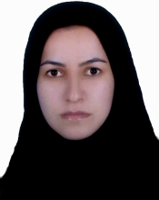 Rana Bagheri