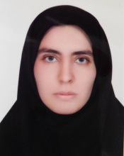 Sajedeh Safi