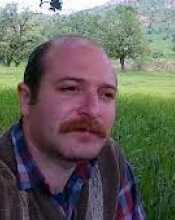 Seyed Shahab Sayedain (Advisor)