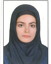 Fereshteh Mohammadi-Sarpiri