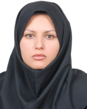 Dr. Ameneh Taghizadeh