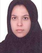 Mehrzad Soltani (MSc)