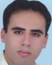 Mohsen Soltani (MSc)