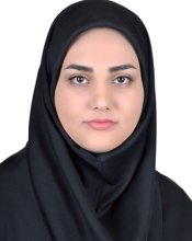 2015-Ahmadi.N.
