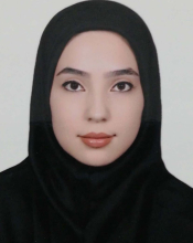 2017-Najafi.E.