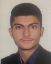 2018-Ghaffarzade.M.