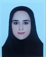 2022-Moeini. F.