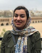2017-Rajabi.N.