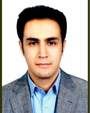 بابک باغبان زاده نوبری