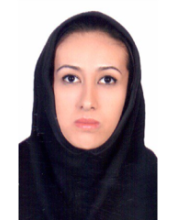 Zahra Jazayeri (2016-Present) (Co-Supervisor)