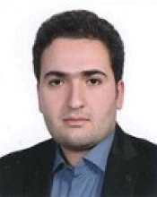 Erfan Tavakkoli Nezhad (2017-2020) (Co-Supervisor)