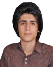 Seyed Hosein Hoseini