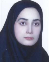 Somayeh Dehnavi