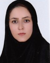 Zahra Mohebbi(Supervisor)