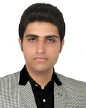 Vahid Mirdarvatan(supervisor)