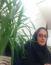 Monireh Mehnatkesh