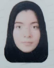 Parisa Mohammadi