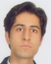 رضا حسینی آرا (دکترا)