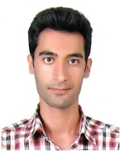Seyed Mohammad Mir-Ahmadi