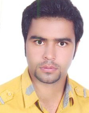 Seyed Ali Hosseini Mansoori