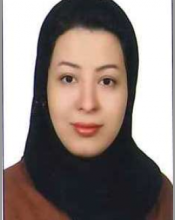 PhD - Shirin Salehi