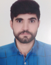 Mojtaba Habibi