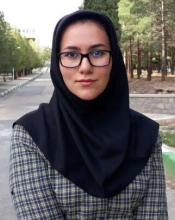 Mobina Fouladvand (Bachelor Student)
