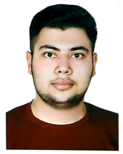 Ali Doroudian (Bachelor Student)
