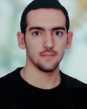 Hamed Setayeshnasab (Master Student)