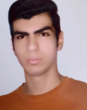 S. Mohammadi