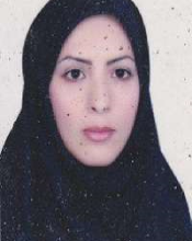 M. Sadeghizadeh