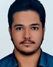 Mehdi Arad (Msc)
