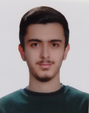 AmirMohammad Asadi