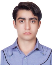 Pouyan Mohammadi Dashtaki