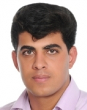 Hamid Reza Amini