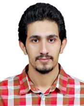 Hesam Safari