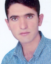 Hadi Dashti (MSc)