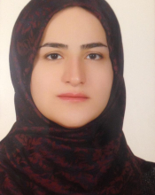 Niloofar Majidi (MSc)