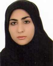 Mariam Ahmadnia (2014-2017)