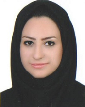 Mina-Sadat Bargegol (2013-2016)