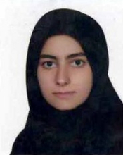 Saeideh Hatami (2011-2014)