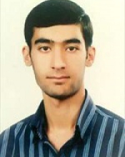 Seyed Mohammad Mir-Ahmadi (2011-2014)