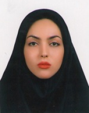 Hosna Mohammadi (2014-2017)